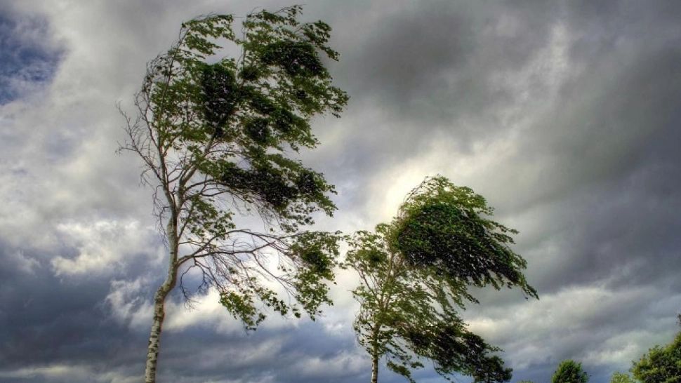 Alertă de fenomene extreme cu vânt în rafale de peste 100 km/h - ANM a emis Cod galben  în aproape toată țara - HARTA