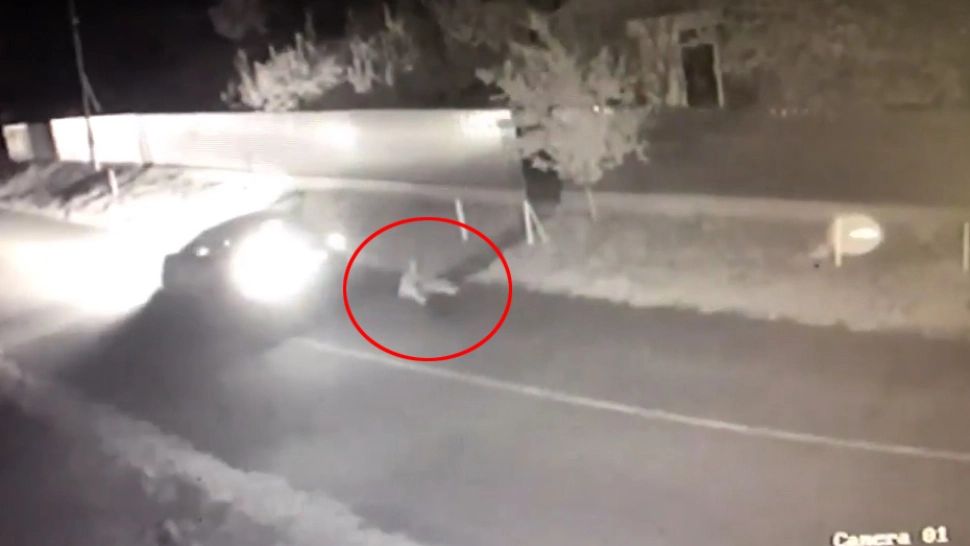 S-a aruncat din mașina în mers, ca să scape de bătăile soțului. Scenă de groază pe o șosea din Galați 