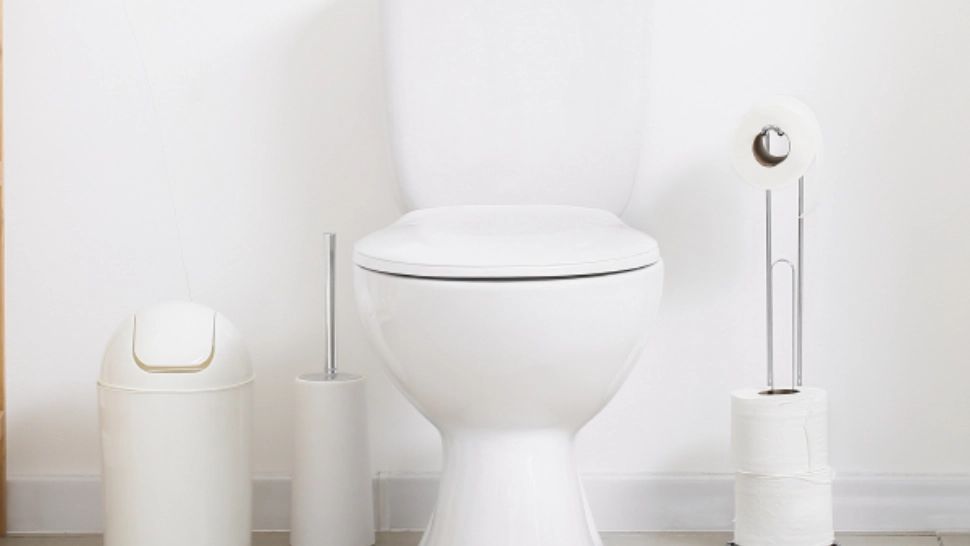 Cel mai mare pericol din baie: risc uriaș de răspândire a bolilor - Soluția simplă prin care ne putem proteja