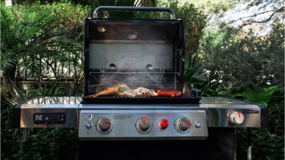 Grătar pe gaz sau cărbuni - cum alegi corect? (P)