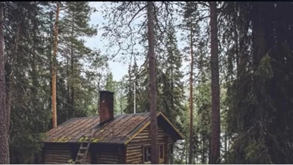 Poți să găsești ursul ascuns în această imagine, în doar 5 secunde? Doar cei cu un IQ de geniu reușesc