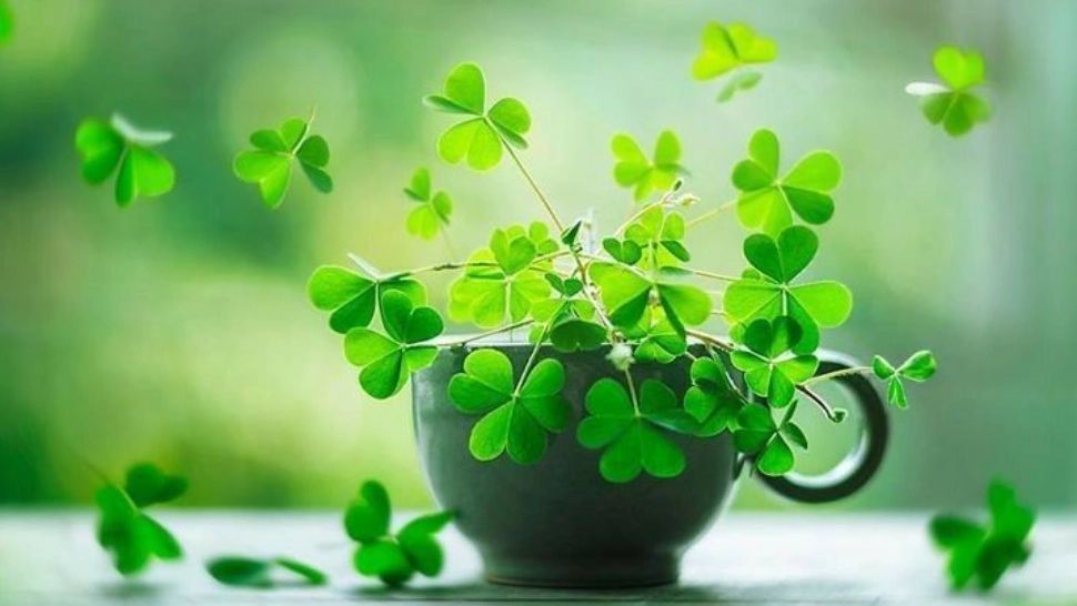 Care sunt zilele norocoase pentru cele 12 zodii - Vești bune din fiecare săptămână pentru toți nativii