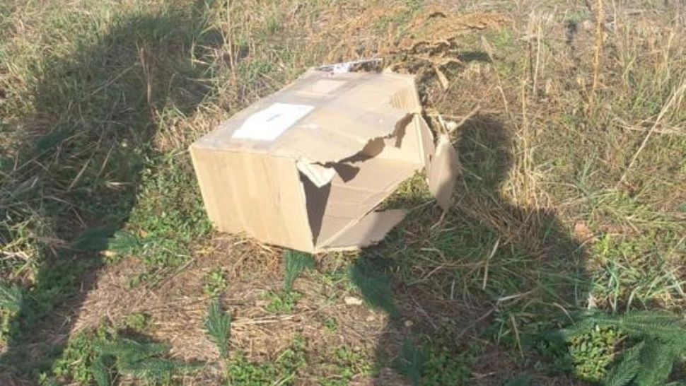 Un bărbat din Arad a primit un colet la ușă și, după ce l-a plătit, și-a dat seama că nu l-a comandat. A sunat la 112 - ireal ce a urmat! FOTO