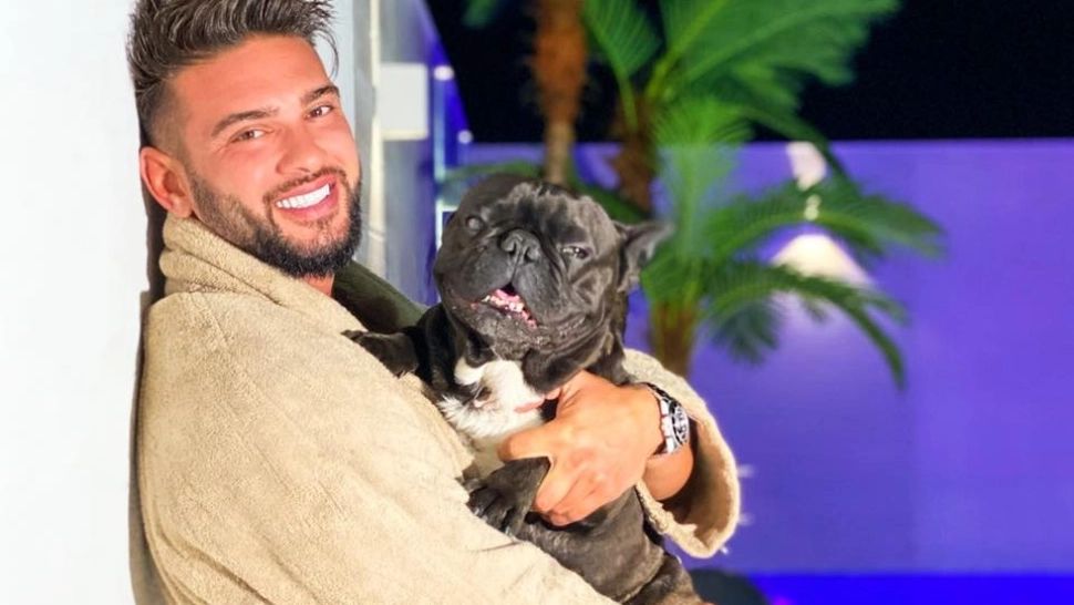 Cheluțu, împărțit între doi stăpâni după despărțirea dintre Dorian Popa și Babs. Vestitul patruped produce sute de mii de euro