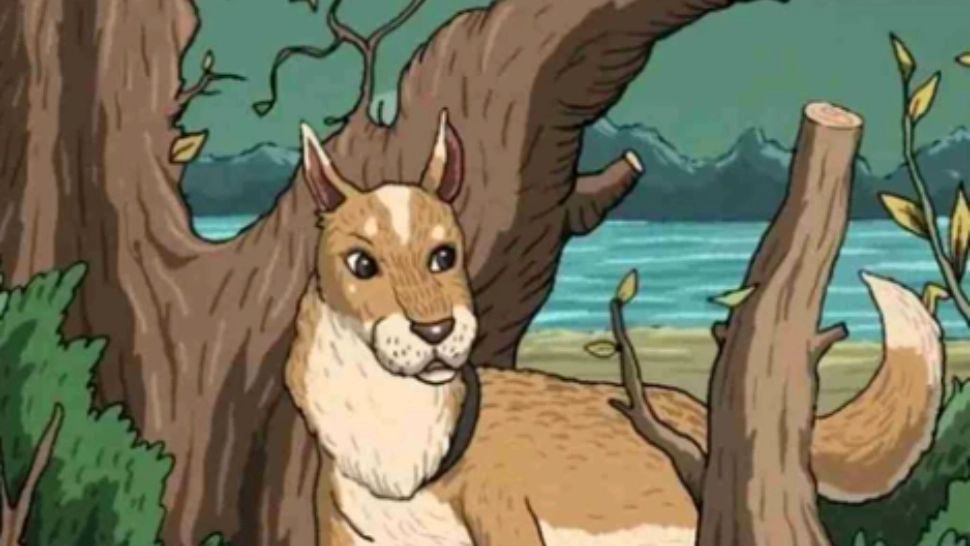 Iluzie optică incredibilă. Unde stă ascunsă pisica din imagine? - Găsește-o în 13 secunde și ești un geniu!