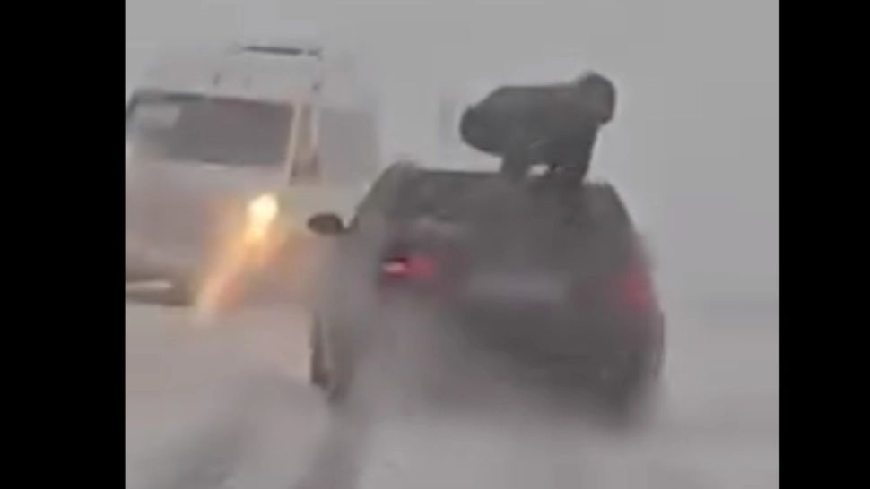 Mesajul transmis de MAI, după apariția imaginilor cu tânărul surprins în timp ce sărea pe portbagajul unei mașini, în mers: Așa ceva niciodată!