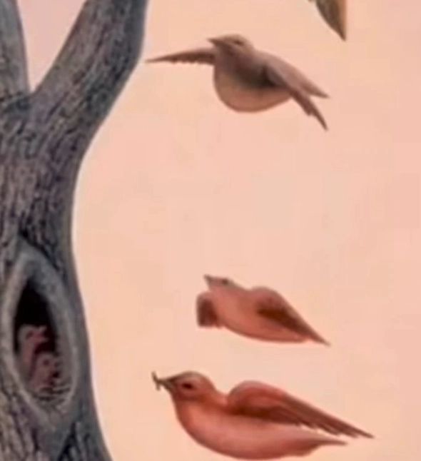 Iluzie optică uimitoare. Cea mai mare dorinţă secretă, dezvăluită într-o secundă!