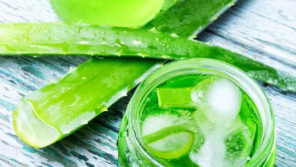 Rețeta secretului frumuseții naturale a Maicii Ecaterina - Cum se face de fapt crema de față și de păr din Aloe Vera