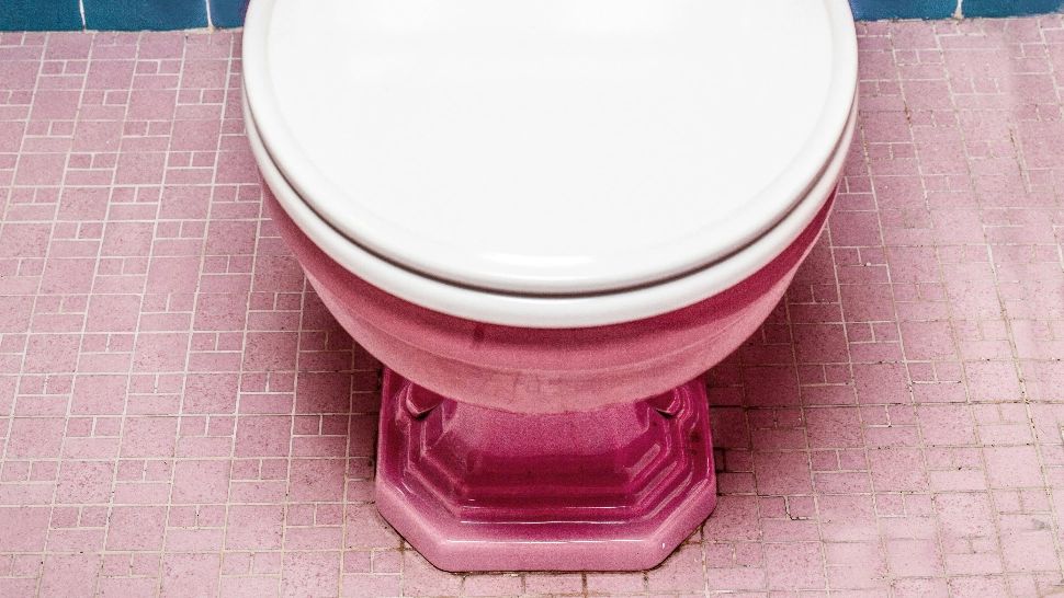 Motivul incredibil pentru care trebuie să pui bicarbonat de sodiu în toaletă. Trucul gospodinelor cu experiență
