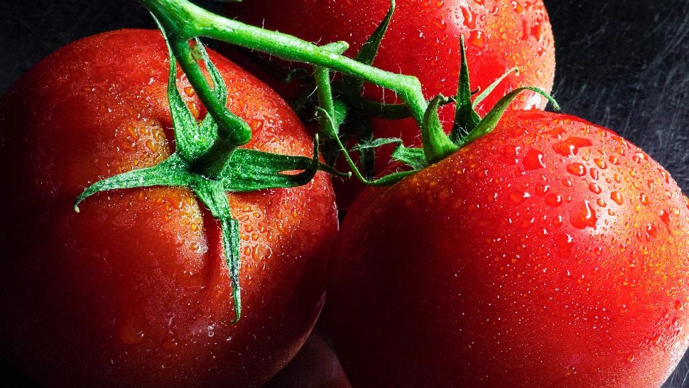 Ce trebuie să pui în roșiile conservate pentru a-și păstra gustul proaspăt și a rămâne întregi toată iarna - Secretul pe care toate gospodinele trebuie să-l cunoască