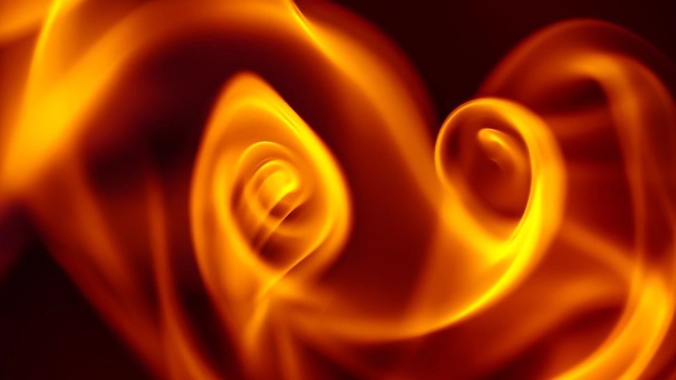 3 zodii care vor renaște din propria cenușă în 2024. Viața lor va lua o cu totul altă turnură