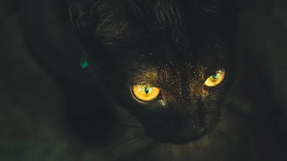 Top 3 zodii lovite de ghinion în decembrie 2023. Toate planurile li se vor da peste cap!