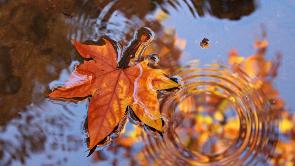 Vremea 6 decembrie. Temperaturi scăzute în toată țara de Sfântul Nicolae: ploi în sud și est, vânt puternic în Dobrogea și Muntenia