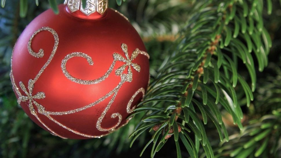 Cum să îți cumperi pom de Crăciun cu numai 15 lei. Prețuri incredibile oferite de Romsilva, în comparație cu cele din magazine