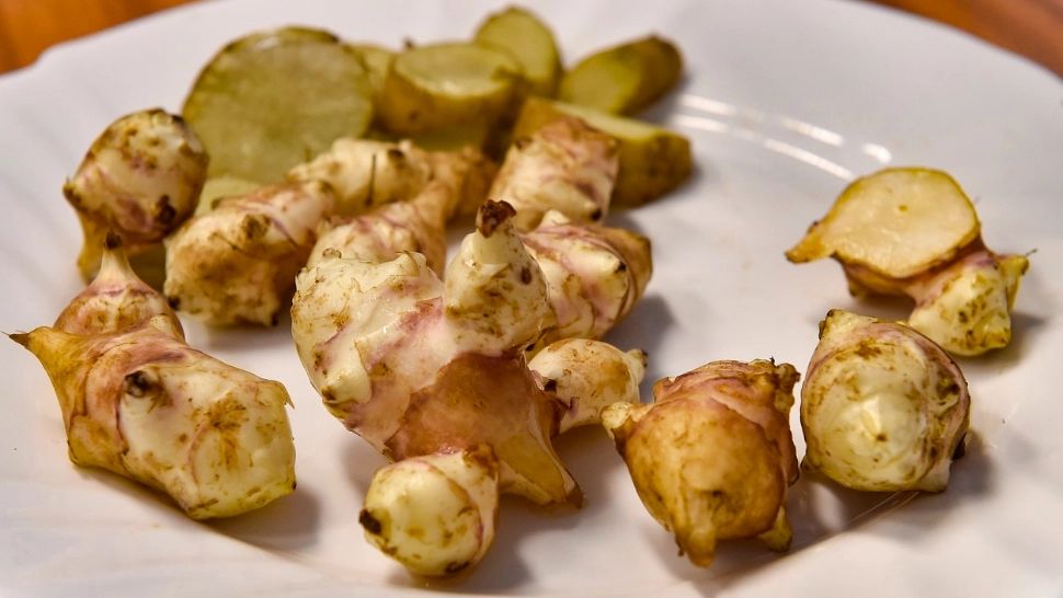 Asta este planta și mâncarea viitorului! Ce oraș din România vrea să dea lovitura cu astfel de culturi