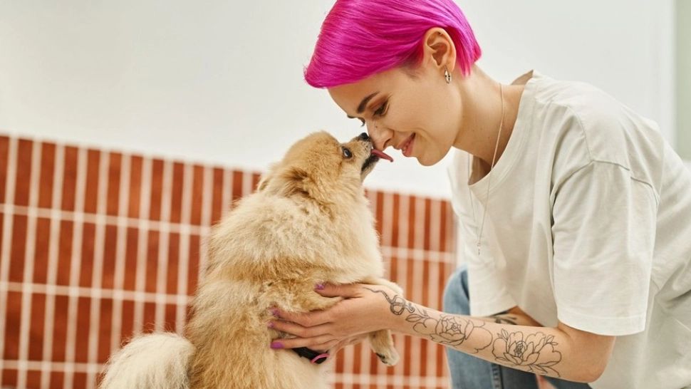 De ce vor câini să ne lingă pe gură? Ce semnale ne transmit prietenii canini