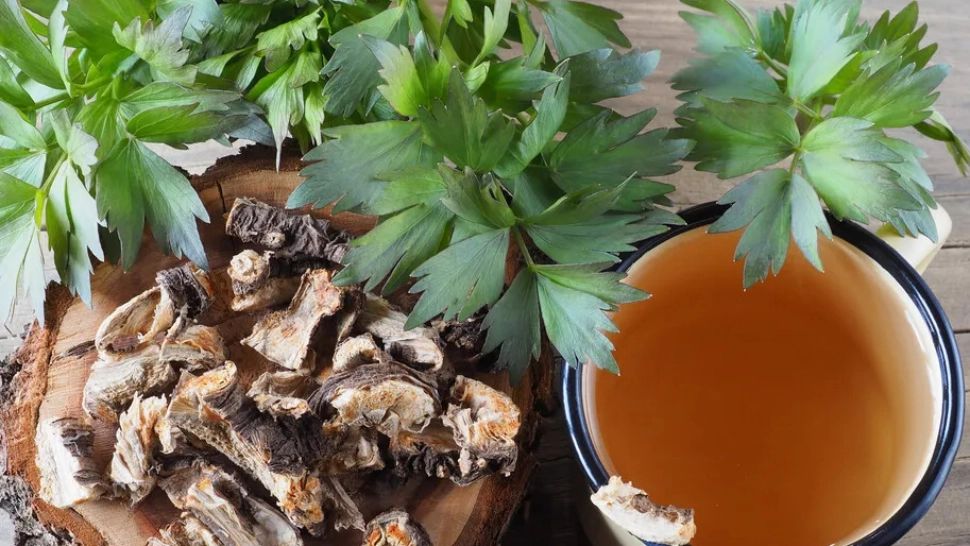 Leușteanul, nelipsit din bucătăria românilor, are proprietăți terapeutice pe care puțini le știu - Cine nu trebuie să-l consume