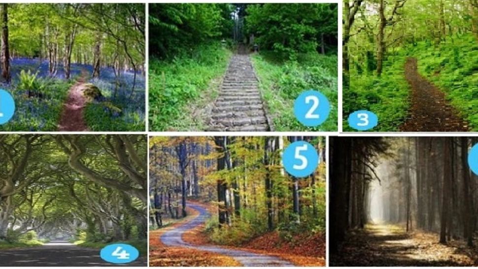 Alege un drum și află mesajul subconștientului pentru drumul tău în 2024