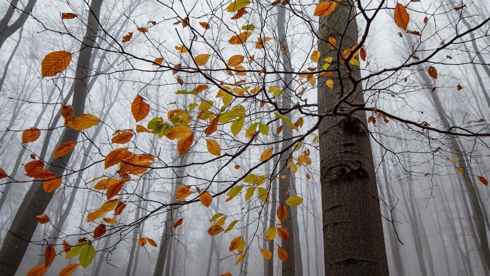 Prognoza meteo în prima lună de toamnă: temperaturi neobișnuite, până pe 23 septembrie. Rupere de nori în țară - anunțul ANM
