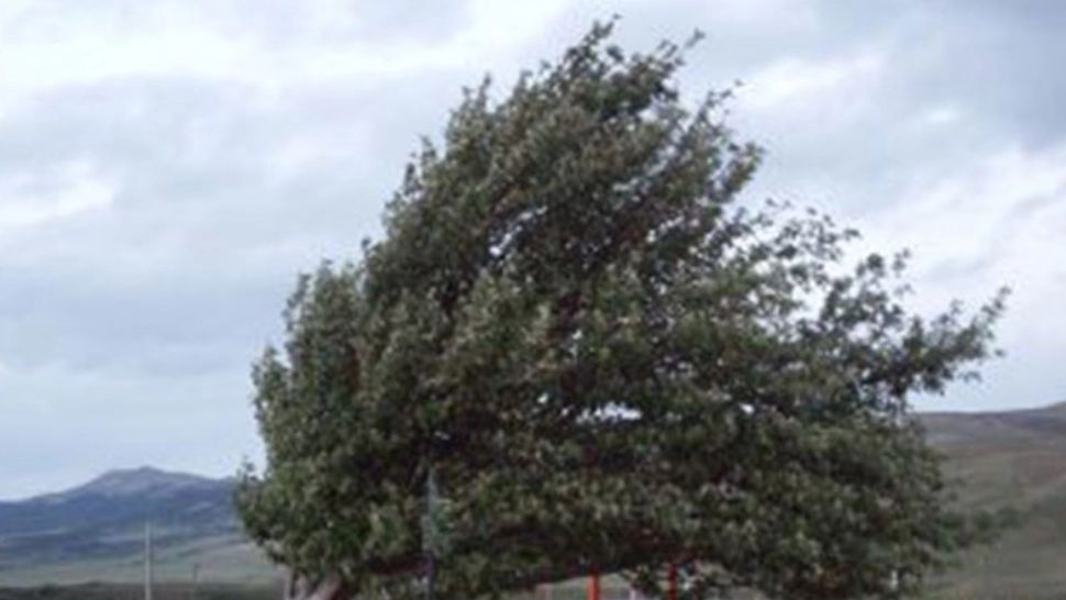 Alertă meteo - Mai multe județe, vizate de Cod galben și portocaliu de vânt puternic - Zonele afectate anunțate de ANM