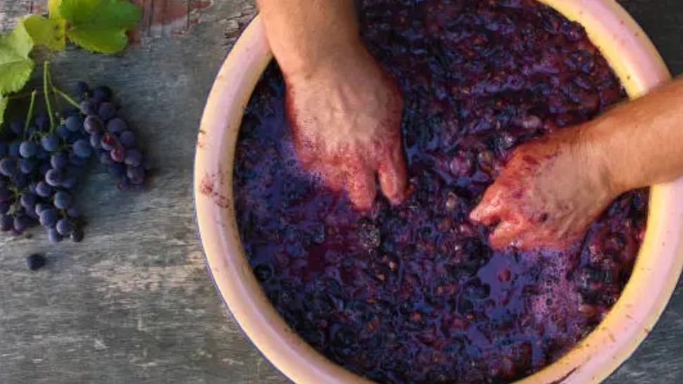 Agent din Botoşani, prins de şeful IPJ în timp ce făcea vin chiar în curtea Poliţiei