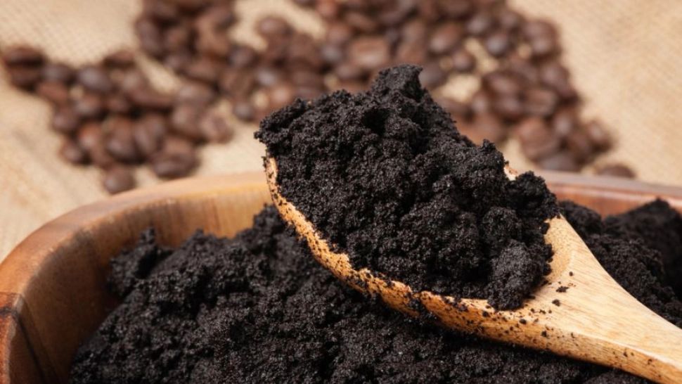 Care este legătura dintre Alzheimer, Parkinson și zațul de cafea - Ce au descoperit cercetătorii americani