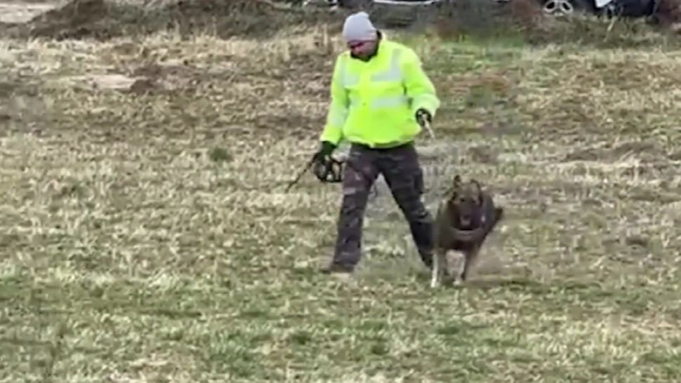 Descoperire macabră! Cadavrul unui cioban dispărut în urmă cu un an, găsit într-o pădure de lângă Comarnic