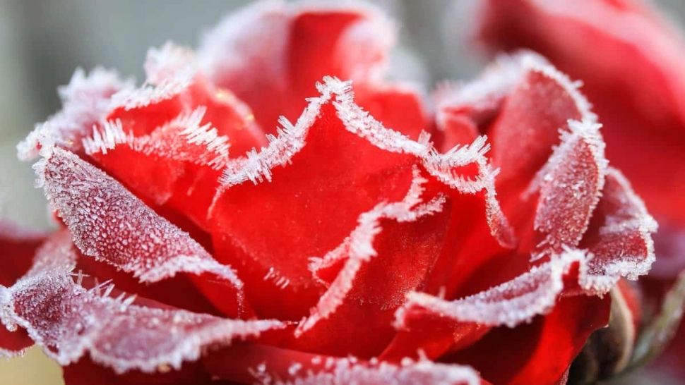 Vremea 3 decembrie. Temperaturi în scădere, cu zăpadă și ger - Unde cad ninsorile