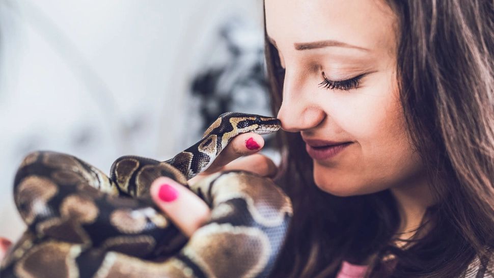 Secretul pe care nu-l dezvălui față de ceilalți - Cele 12 animale magice ale zodiacului - Care te reprezintă perfect