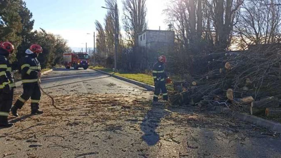 Vremea rea face ravagii în țară - Un arbore a căzut peste o mașină în care se aflau două persoane