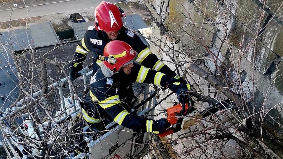ISU Giurgiu, intervenție periculoasă - Pompierii, chemați urgent de locatari pentru un copac ce a crescut la etajul 8