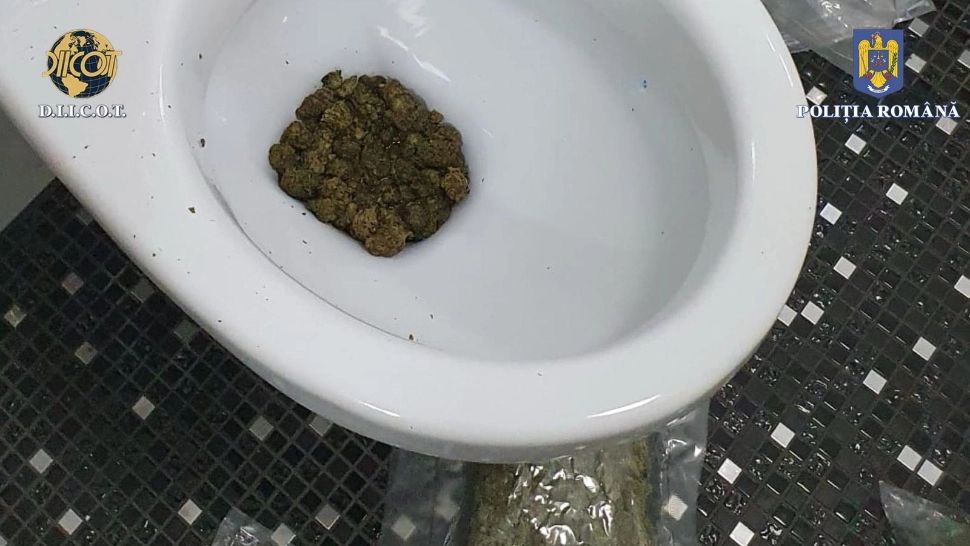 Operațiunea Narcos. Rețea uriașă de traficanți de droguri, destructurată. Dealerii au aruncat drogurile în WC și banii pe geam cand au văzut polițiștii