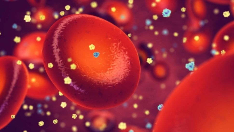 4 legume care te scapă miraculos de zahărul din organism - Efecte neștiute pentru sănătate: Rețete pentru scăderea glicemiei