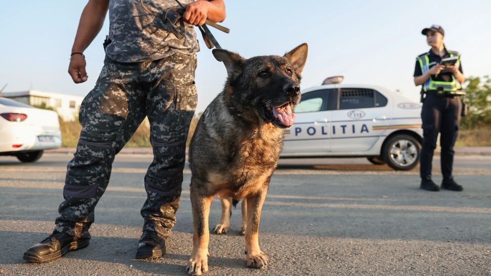 Amenzi mai mari pentru șoferi, de la 1 ianuarie 2024. Reguli dure, sancțiuni uriașe