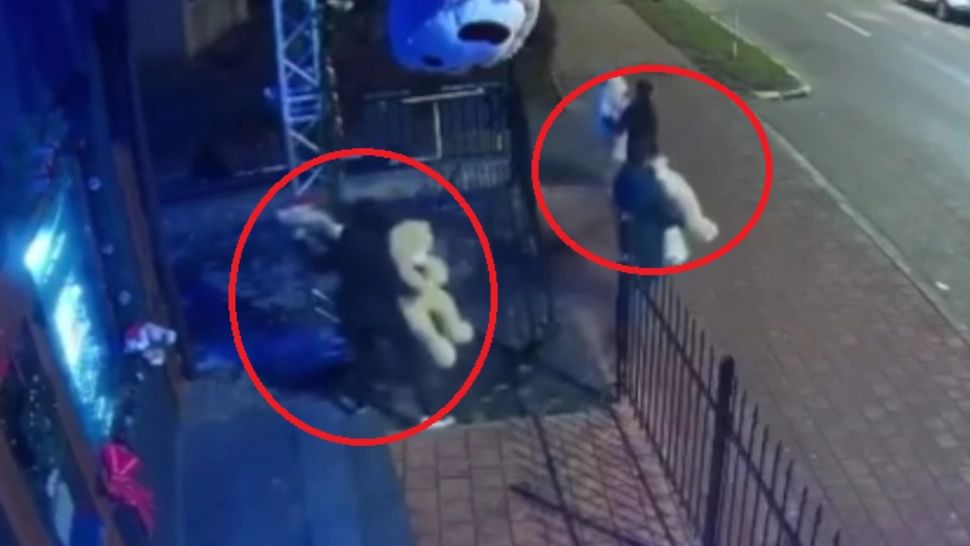 Jaf neobișnuit la Suceava. 3 adolescenți au furat urșii de pluș care împodobeau fațada unui magazin - Momentul, surprins de camere - VIDEO