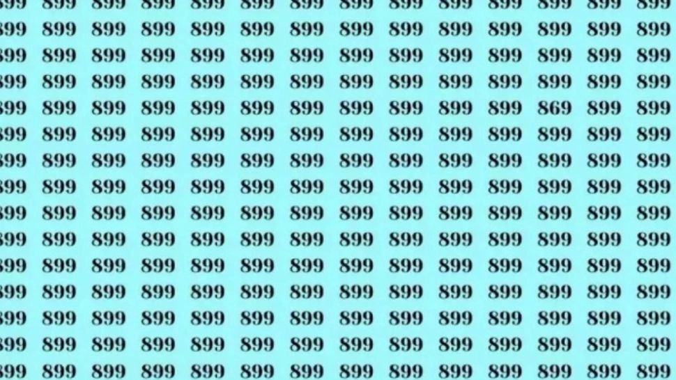Găsește numărul 869 în marea de numere 899! Ai un IQ peste medie dacă poți să faci asta