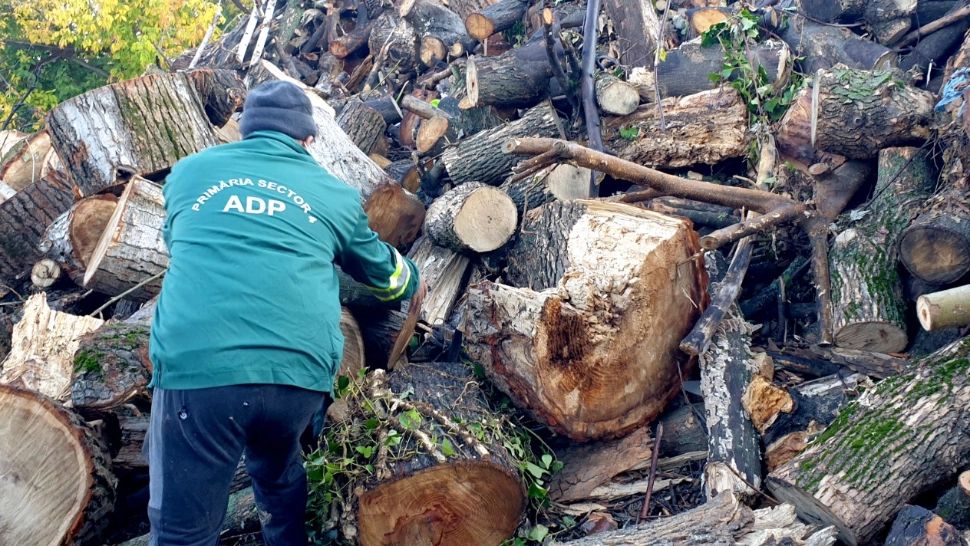  Continuă campania de acordare a ajutoarelor de încălzire, în Sectorul 4