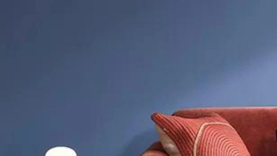 S-a anunțat CULOAREA anului 2024. Va fi vedeta amenajărilor de interior