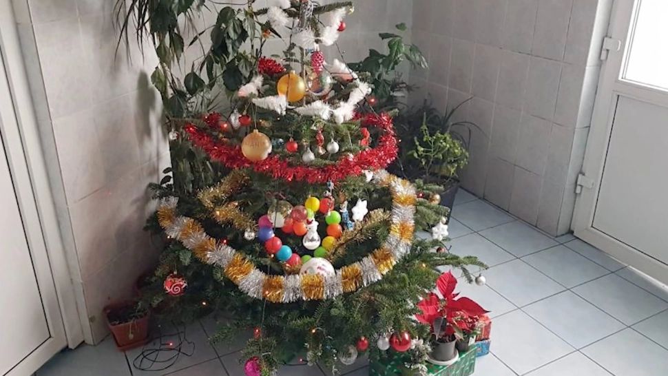 Bătaie de joc față de copii: brazi de Crăciun, împodobiți la WC - FOTO