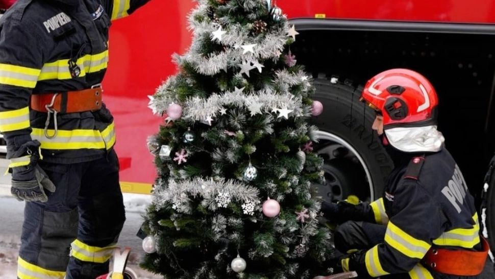 Sfaturi esențiale pentru instalarea bradului - Ce spun specialiștii de la IGSU