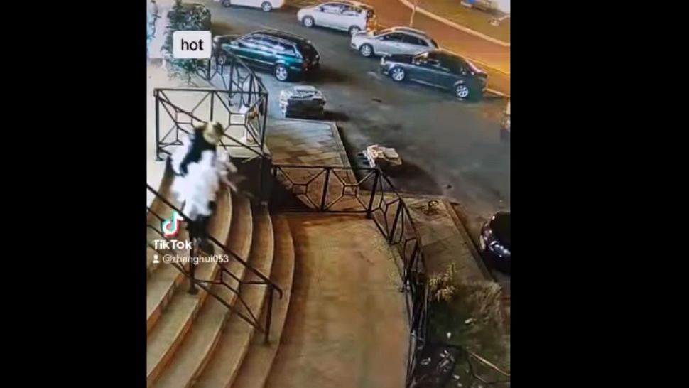 VIDEO. Momentul în care o femeie fură bradul de Crăciun din fața unui magazin din Dej și o rupe la fugă spre portbagajul mașinii