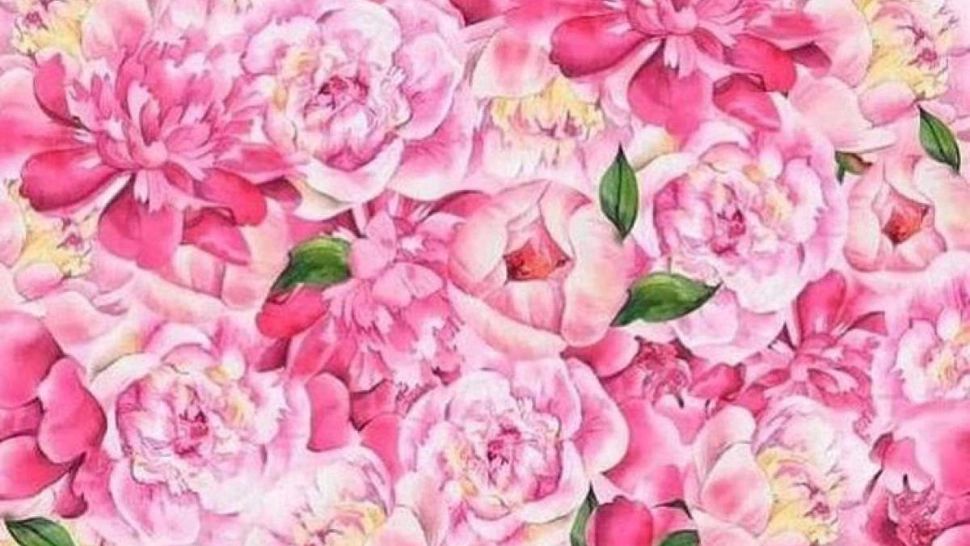 Testul suprem al atenției: Găsește fluturele ascuns între bujori în 15 secunde. Doar cei cu o minte ascuțită pot să-l zărească