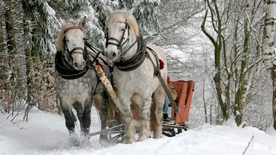 Schimbări radicale ale vremii: temperaturile sar brusc la 15 grade! Cum va fi vremea de Crăciun - directorul ANM, prognoza detaliată
