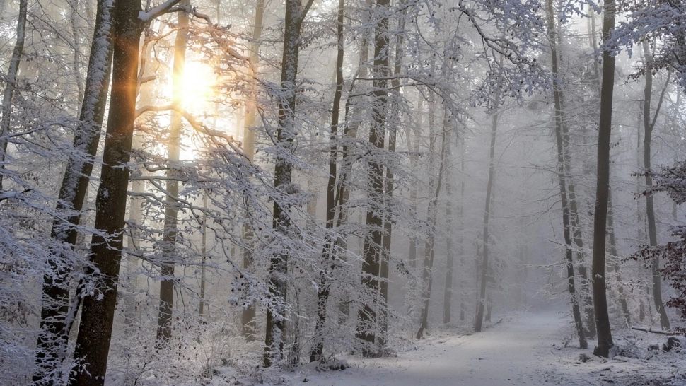 Prognoza meteo 12 decembrie. Vremea se încălzește ușor, dar sigur. Zone cu temperaturi de 11 grade. Unde continuă să ningă