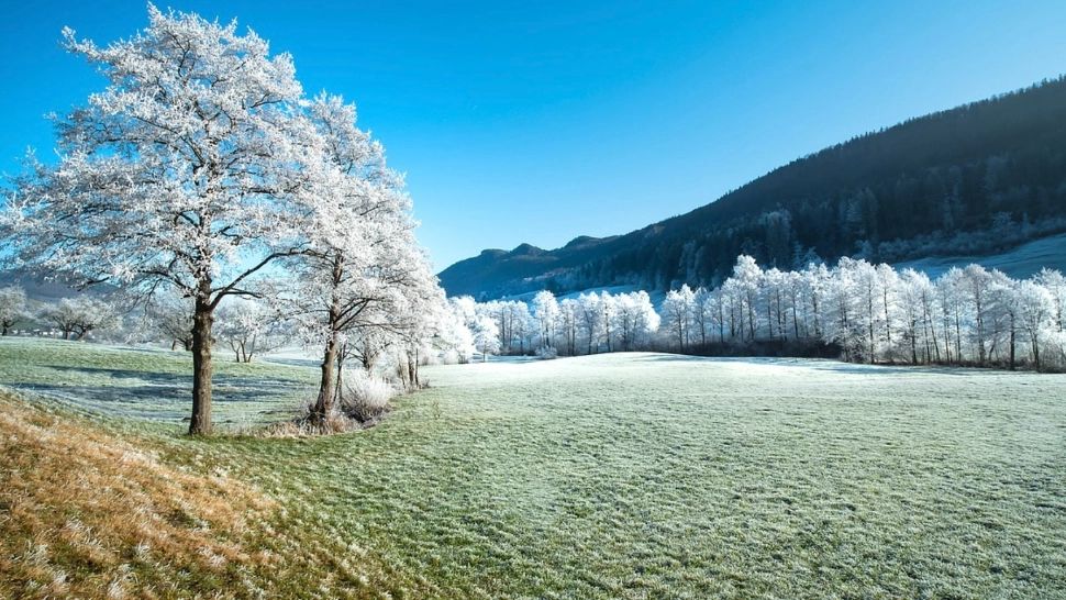 Vremea 29 decembrie - Temperaturile continuă să fie anormal de mari pentru această perioadă