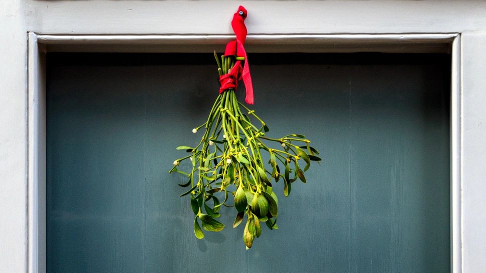 Locul-cheie unde să pui vâscul de Crăciun. Secretul este dezvăluit de practica Feng Shui: vei avea noroc în dragoste tot anul