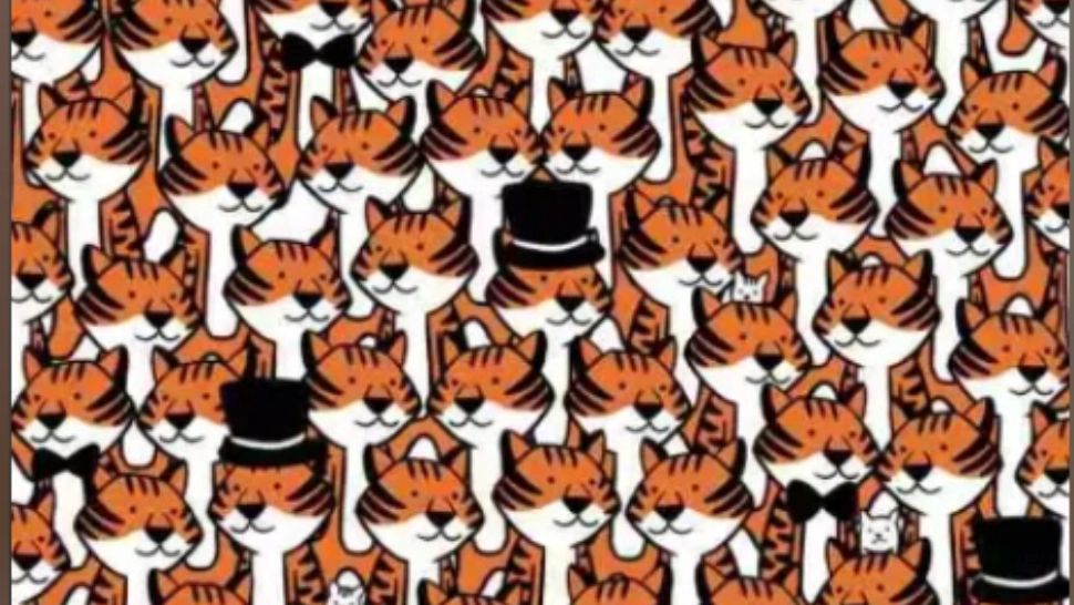 4 pisici s-au ascuns în mulțimea de tigri. Găsește-le în 10 secunde și te poți considera maestrul perspicacității  