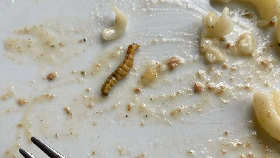 Dietă cu VIERMI pentru sportivii de la Jocurile Olimpice? Un nou scandal în satul olimpic