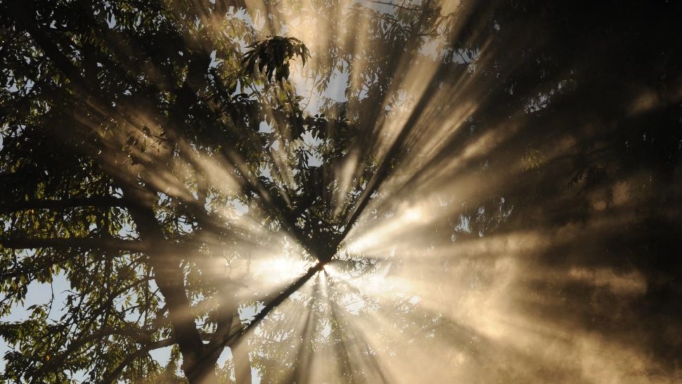 3 zodii vor avea parte de protecție Divină în săptămâna 11-15 decembrie. Vezi dacă te afli printre ele