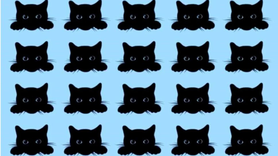 Testul de inteligență care îi încurcă pe toți. Găsește diferența din imagine în 5 secunde și ești un geniu!